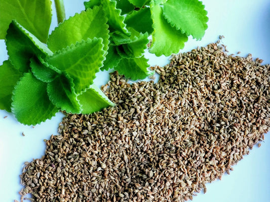 What is Ajwain/Ajamoda? - Full Information, Usage, Benefits and Side Effects