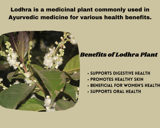 Image of Lodhra plant with green leaves and small white flowers against a blurred background. The title 'What is Lodhra? - Full Information, Usage, Benefits, and Side Effects' is written in white text overlaying the image.