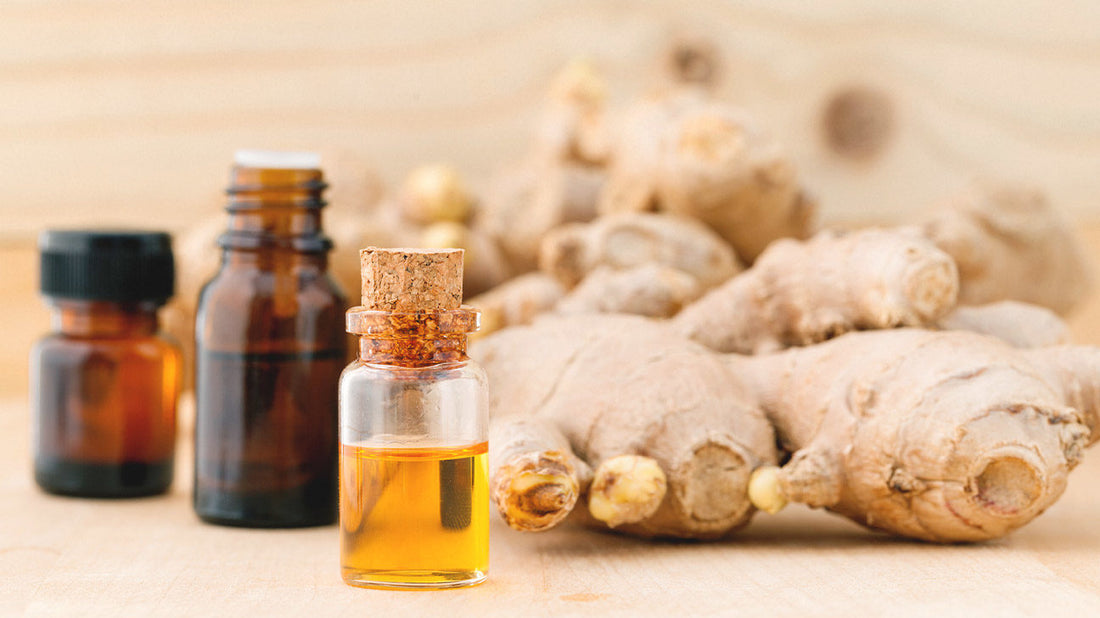 What is Ginger oil? - Information, uses & side effect