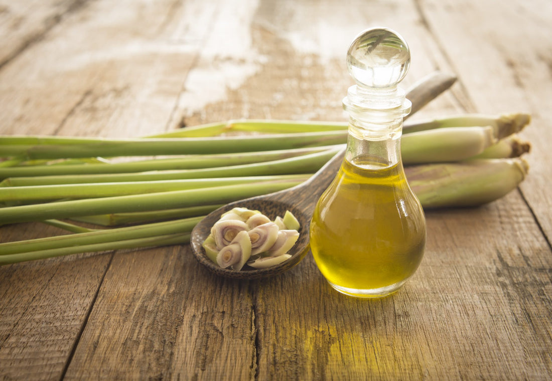 What is Lemongrass Oil? - Information & uses