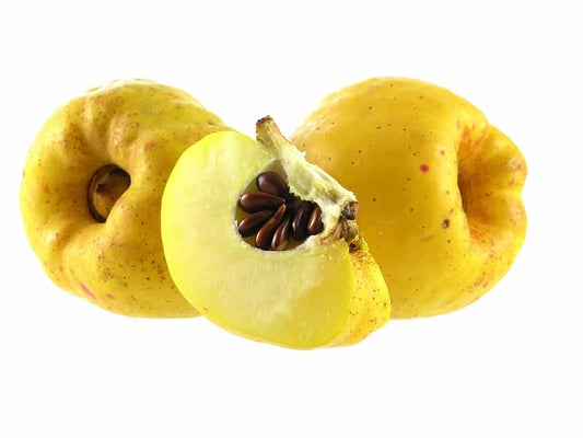 What is Quince Seed? - Information & uses