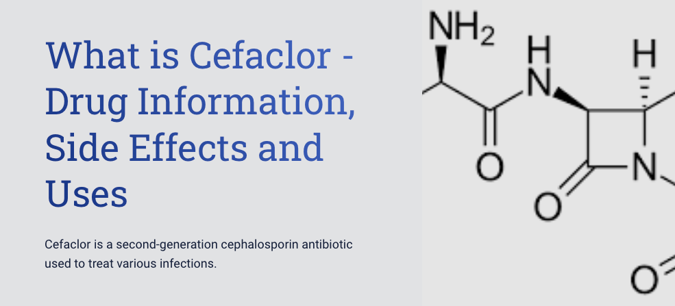 What is Cefaclor - Drug Information, Side Effects and Uses