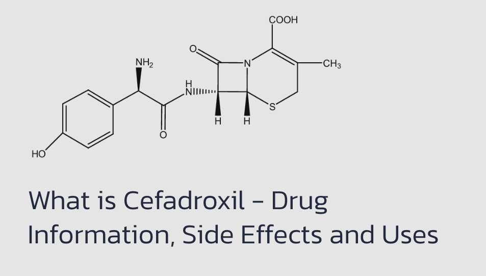What is Cefadroxil - Drug Information, Side Effects and Uses – Caresupp.in
