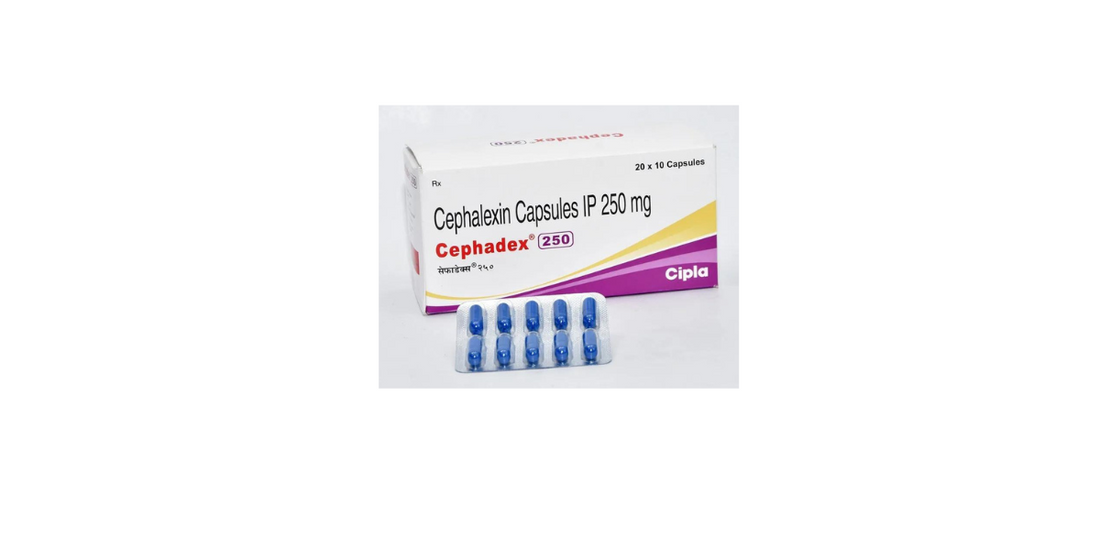What is Cephalexin? Full information, usage, benefits and side effects