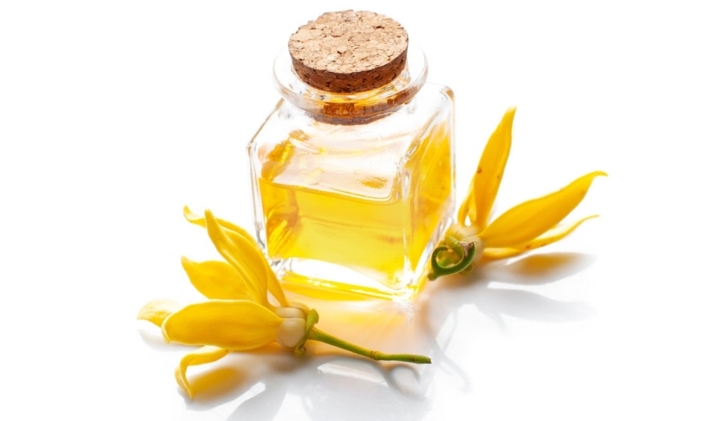 What is Ylang Ylang Oil? - Information & uses