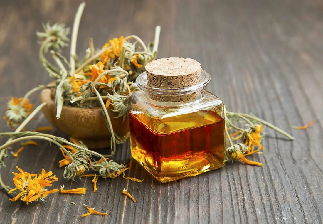 What is Calendula Oil? - Information and uses