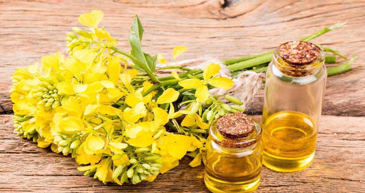 What is Canola Oil? - Information, uses & side effects