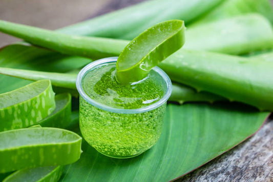 The Beauty Benefits of Aloe Vera Gel: Your Ticket to a Healthier Glow