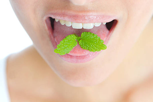 Unveiling the Power of Traditional Oral Care: Baidyanath Dant Lal Manjan