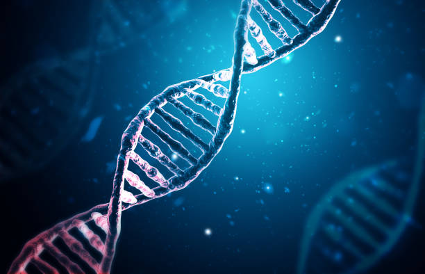 Decoding the Blueprint of Life: Exploring the Wonders of DNA – Caresupp.in