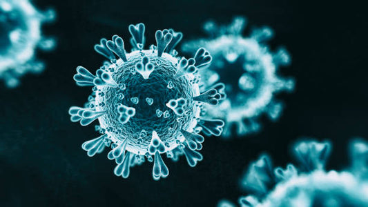 Adenoviruses: Unveiling the Intricacies of a Viral Menace