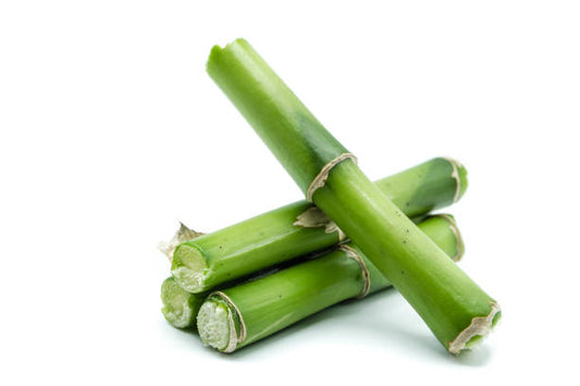 Bamboo Extract: The Secret to Rejuvenated and Hydrated Skin