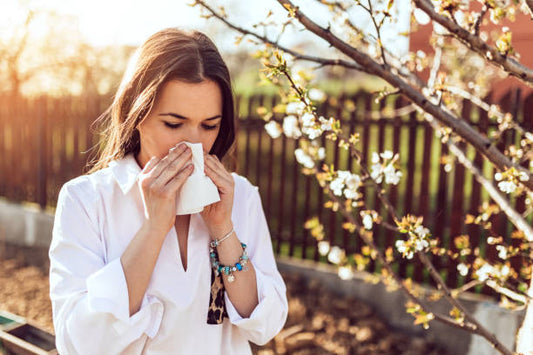 Allergy Season Survival Guide: Tips for Coping with Seasonal Allergies