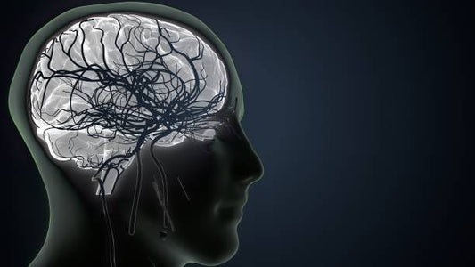 "Breakthroughs in Alzheimer's Medications: Hope on the Horizon"