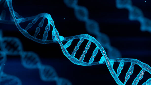 Genetic Testing: What It Can Tell You About Your Health