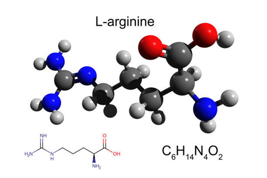 Unlocking Intimacy: The Role of L-Arginine in Sexual Wellness Products