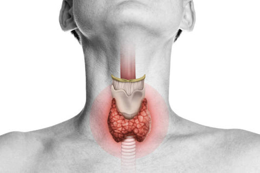 Easy Natural Treatment for Thyroid