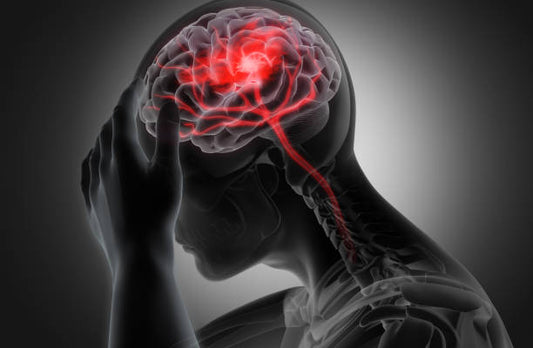 Brain Tumors: Causes, Symptoms, and Treatment