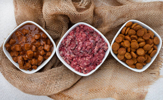 Pedigree Puppy Wet Dog Food: Chicken Chunks in Gravy - A Delicious and Nutritious Choice for Your Growing Pup