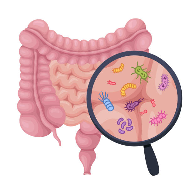 "The Role of Probiotics in Gut Health: Benefits and Best Practices"