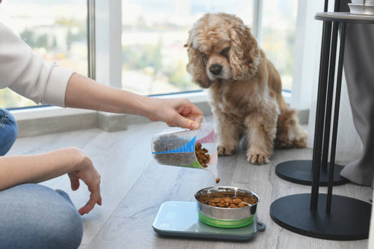 Drools Chicken and Egg Puppy Dry Dog Food - Nourishing Start for Growing Pups