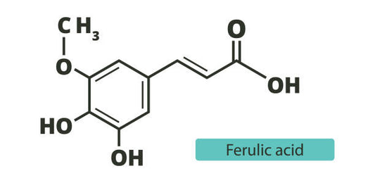 Ferulic Acid: Unveiling the Antioxidant Marvel in Skincare