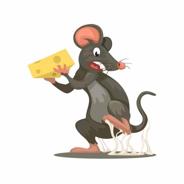 HIT Rat Glue Pad - Effective Pest Control for Rats – Caresupp.in