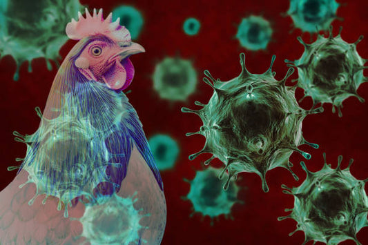 Emerging Zoonotic Diseases: The Next Pandemic Threat?