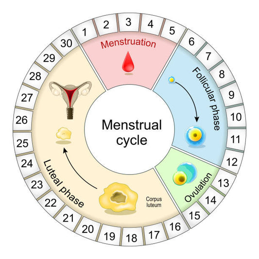 Ayurvedic Solutions for Menstrual Irregularities.