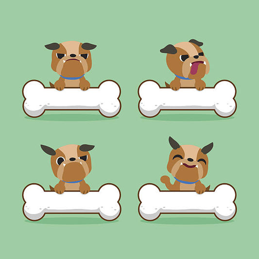 Pedigree Jumbone Dog Treat – Chicken & Lamb Flavour: A Double Delight Crunchy Chew for Canine Joy