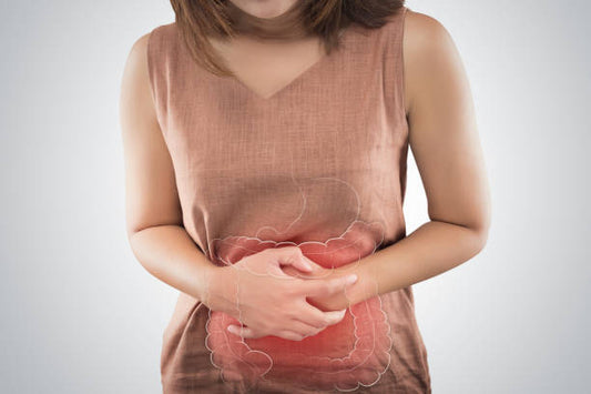 Lacti Fiber Powder: The Ultimate Solution for Digestive Health