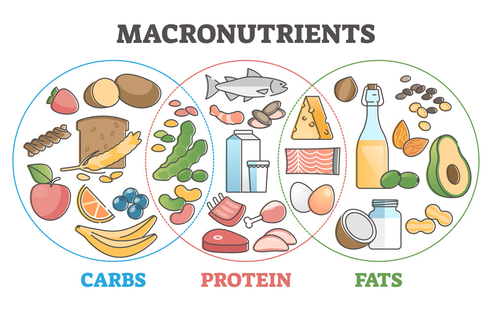 Scientific Method to Calculate Calories from Macronutrients