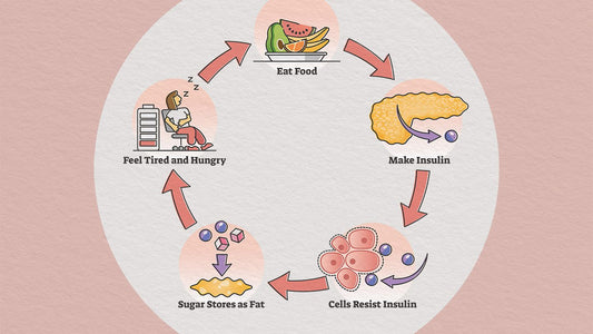 How Does Your Body Develop Insulin Resistance? What it is and how to prevent it?