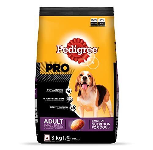 Pedigree small outlet pack