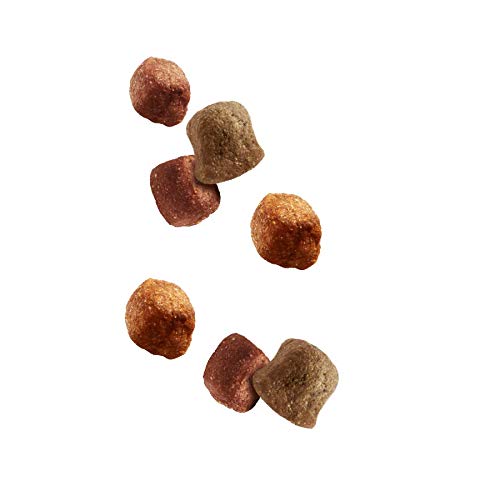 Pedigree Tasty Minis Cubes Adult Dog Treat - Chicken & Duck Flavour Chunks, 130g Pack (Pack of 8), Lip-smacking Rewards for Your Beloved Dog