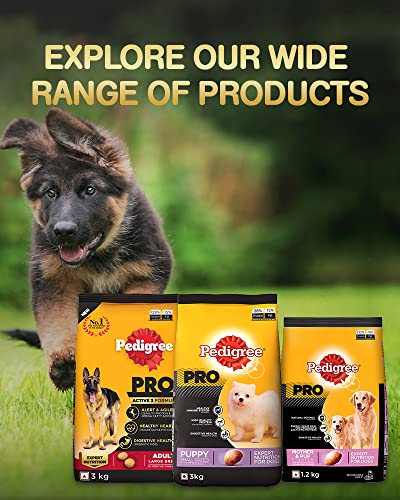 Pedigree active hotsell senior dog food