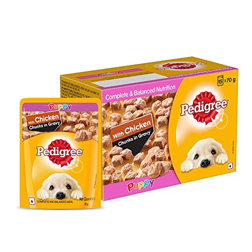 Pedigree Puppy Wet Dog Food - Chicken Chunks in Gravy, 70g (Pack of 15), Delicious and Nutritious Choice for Your Growing Pup
