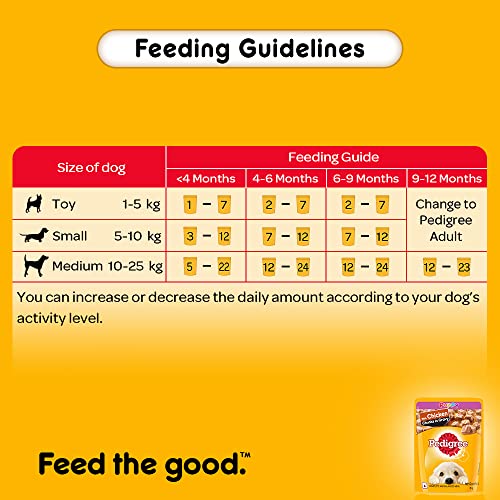 Pedigree Puppy Wet Dog Food - Chicken Chunks in Gravy, 70g (Pack of 15), Delicious and Nutritious Choice for Your Growing Pup