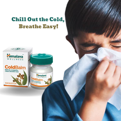 Buy Online Himalaya Cold Balm  at best prize in India