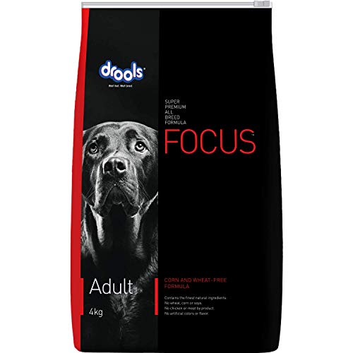 Drools Focus Adult Super Premium Dry Dog Food, Chicken, 4kg