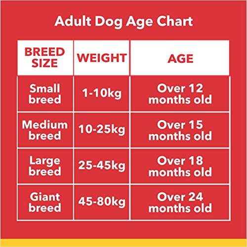 Drools Chicken and Egg Adult Dog Food, 3 kg with FREE 300 gm Bone (20 pieces)