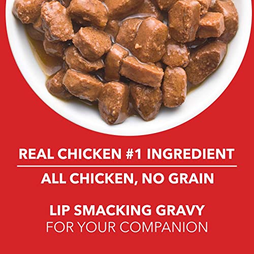 Drools Puppy Wet Dog Food, Real Chicken and Chicken Liver Chunks in Gravy, 15 Pouches (15 x 150g)